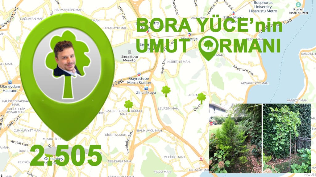 Aylin Yener Iscan’ın Istanbul Ulus’ta 2 Ağacı ile 2 bin 505’e ulaştık
