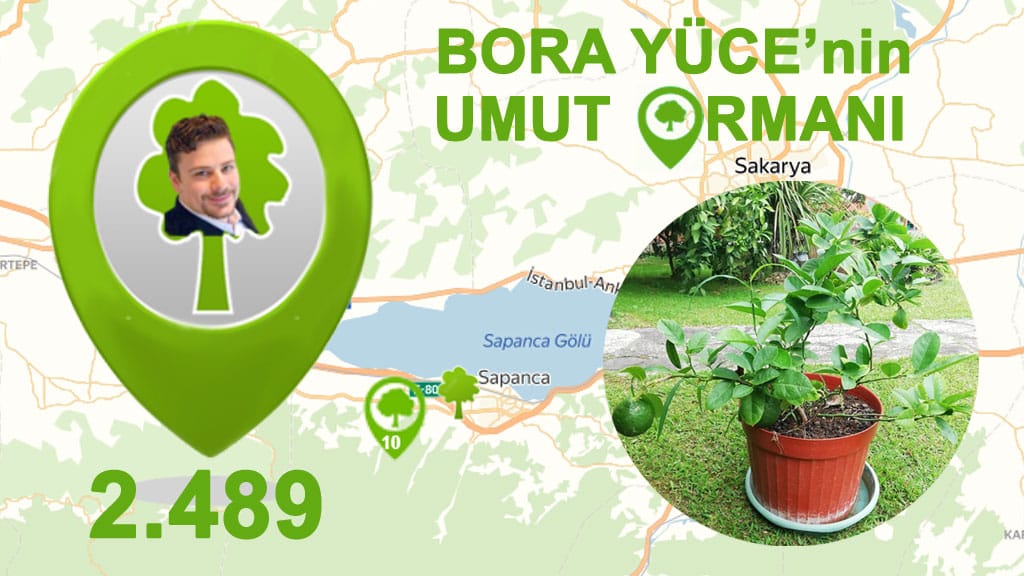 2 bin 489’uncu Ağaç Bora’nın arkadaşı Cagla’dan geldi