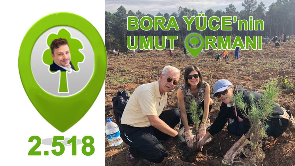 Erdoğan Fırtınoğlu’dan 11 çam ağacı