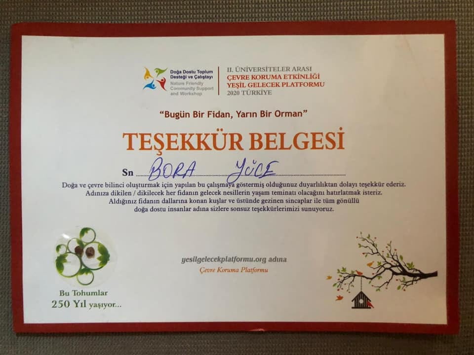 Kuzenin Zeynep göndermiş